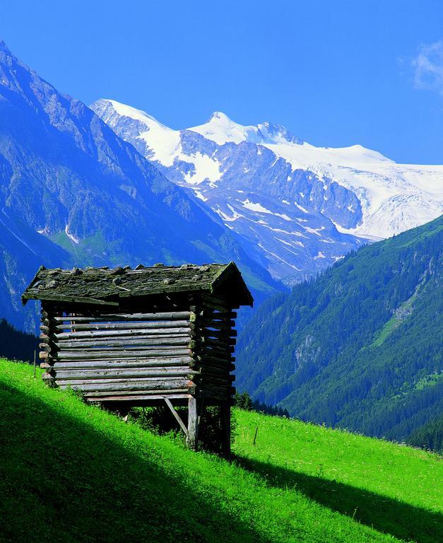 Haus Egger Lägenhet Neustift im Stubaital Exteriör bild