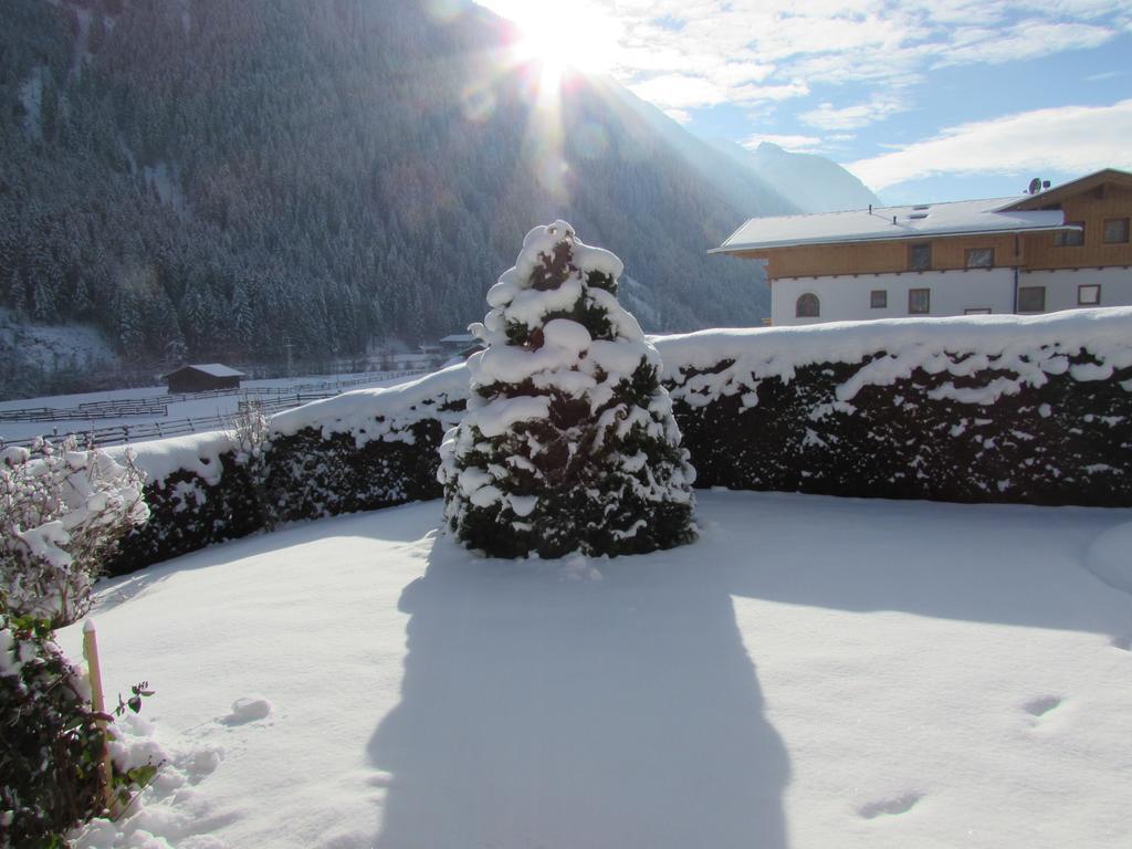 Haus Egger Lägenhet Neustift im Stubaital Exteriör bild